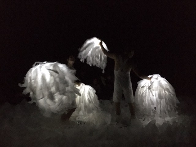 Sous la neige par la Compagnie les bestioles